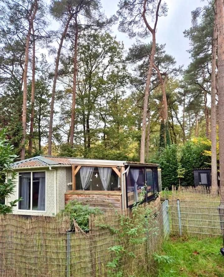 Cosy Chalet Veluwe With A Spacious Garden And Veranda Doornspijk Eksteriør bilde